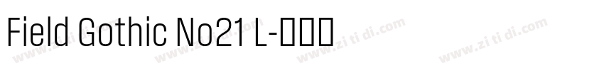 Field Gothic No21 L字体转换